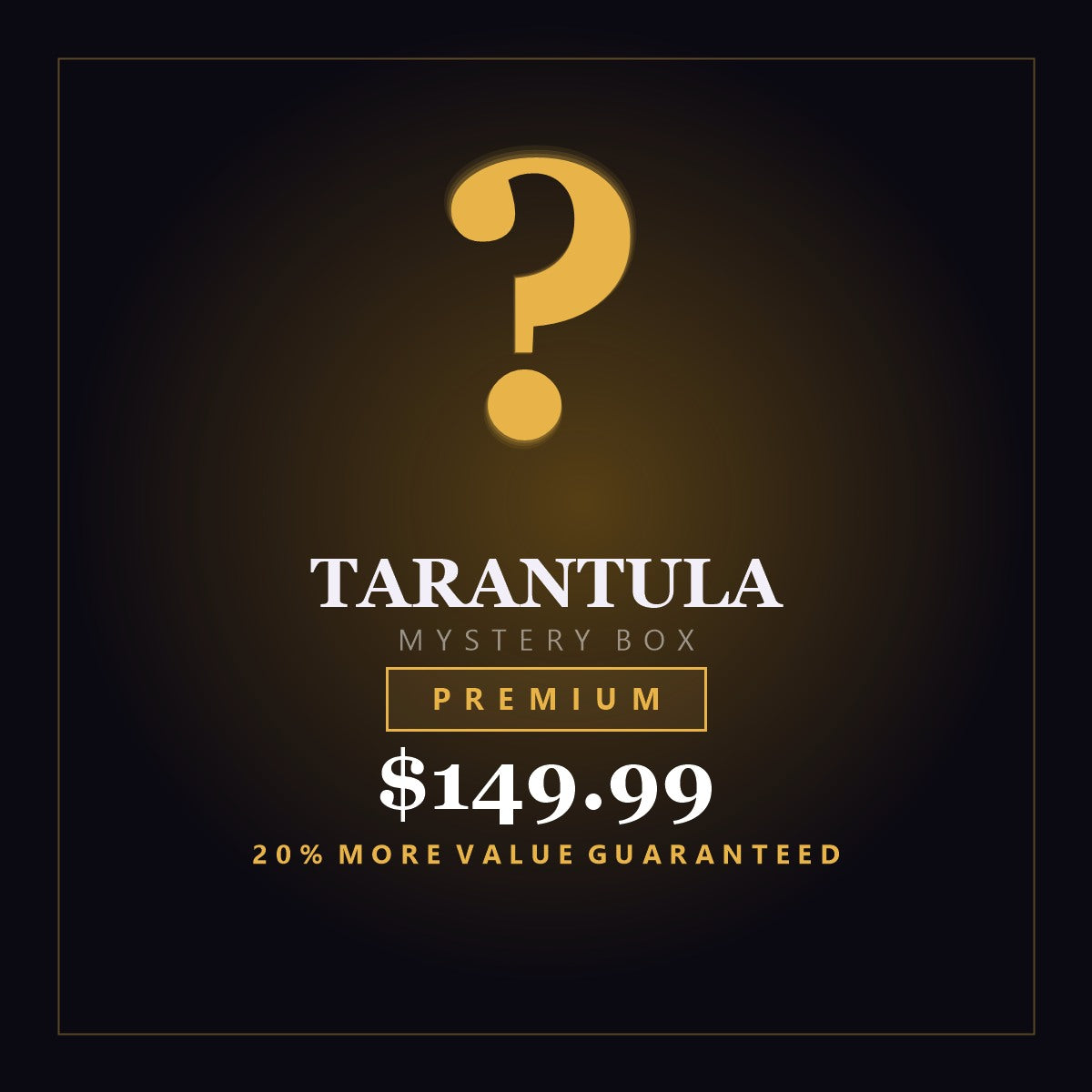 Tarantula Mystery Box - Premium