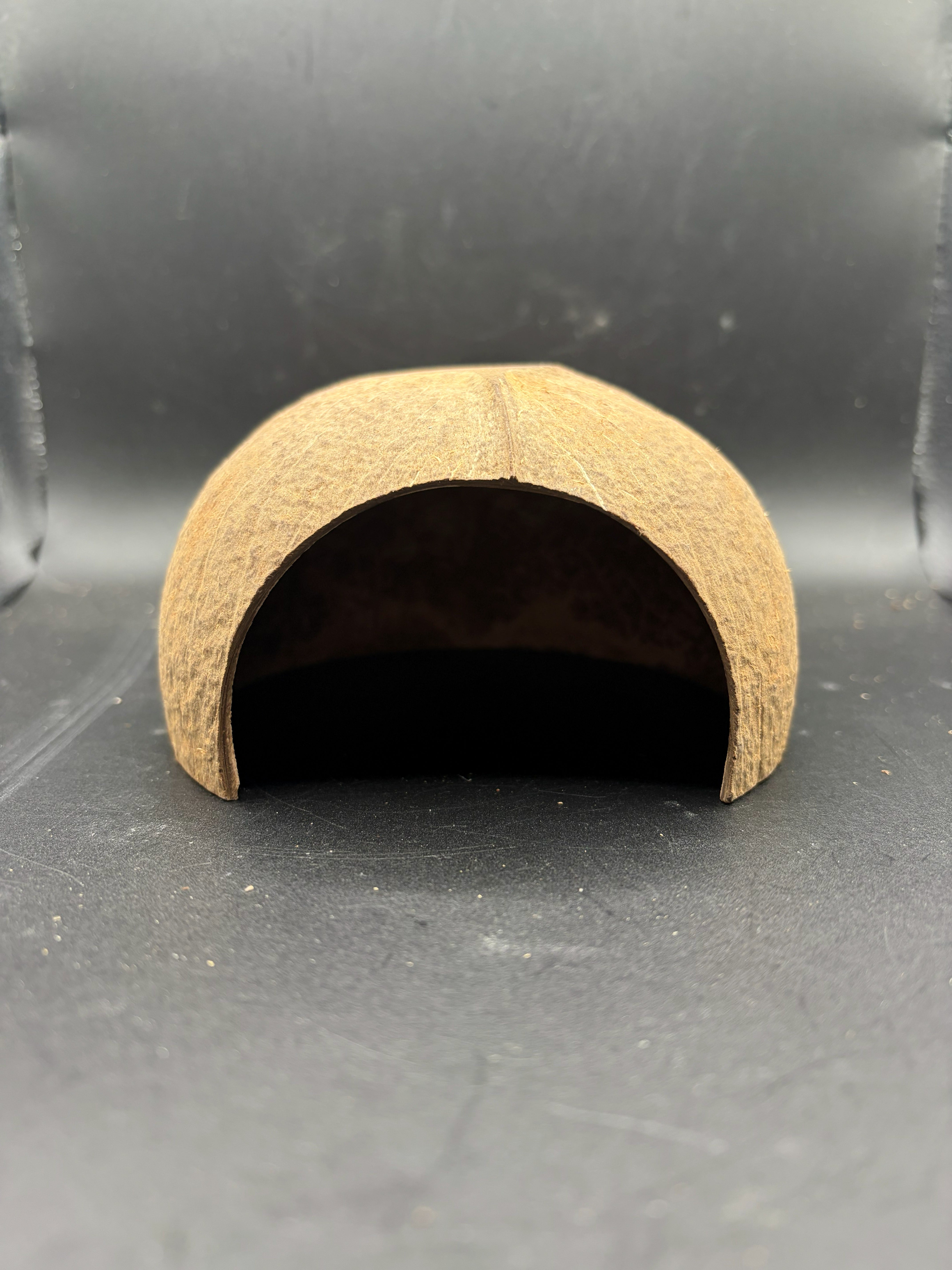 Coconut Hide photo 3