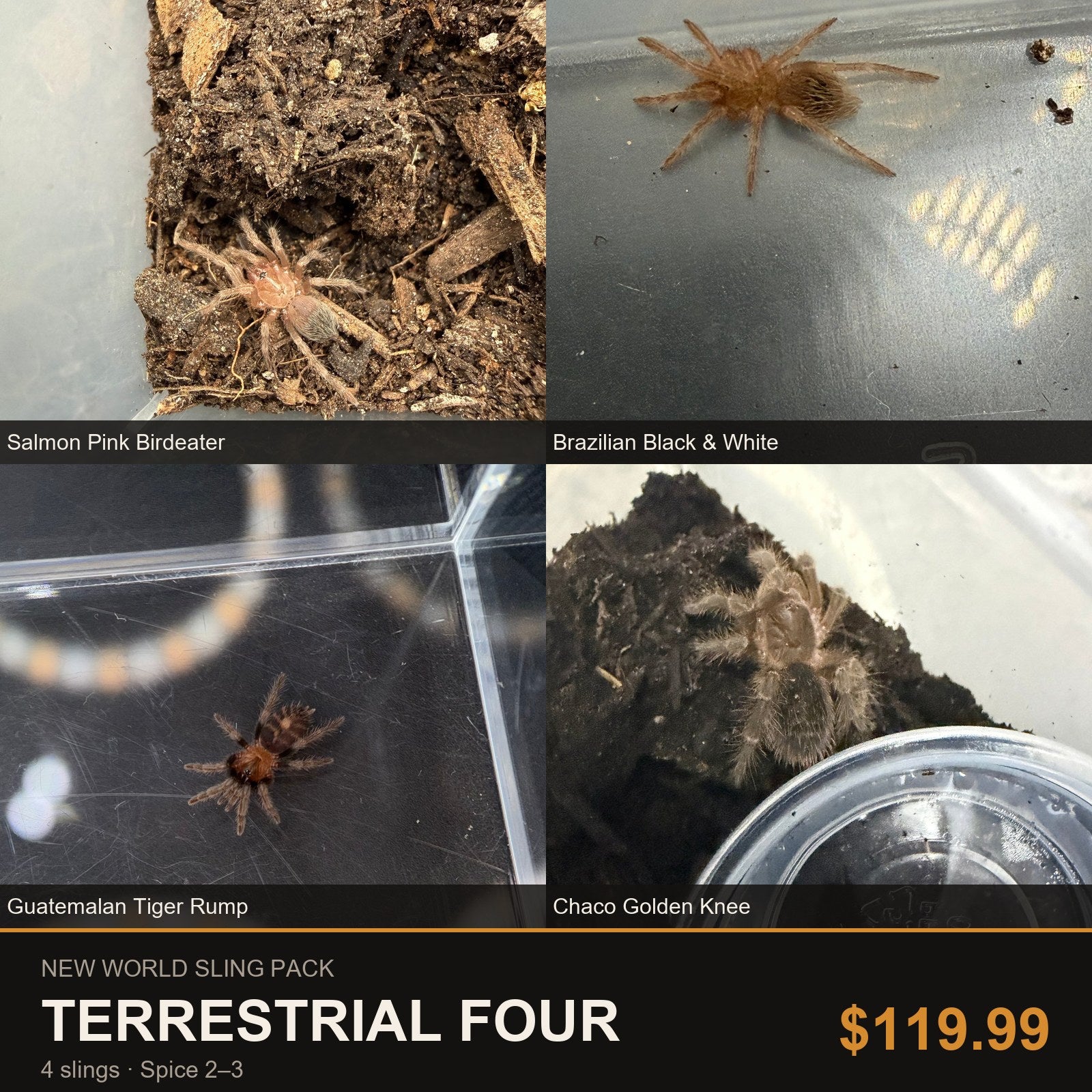 New World Sling Pack - Terrestrial Four - 4 Slings