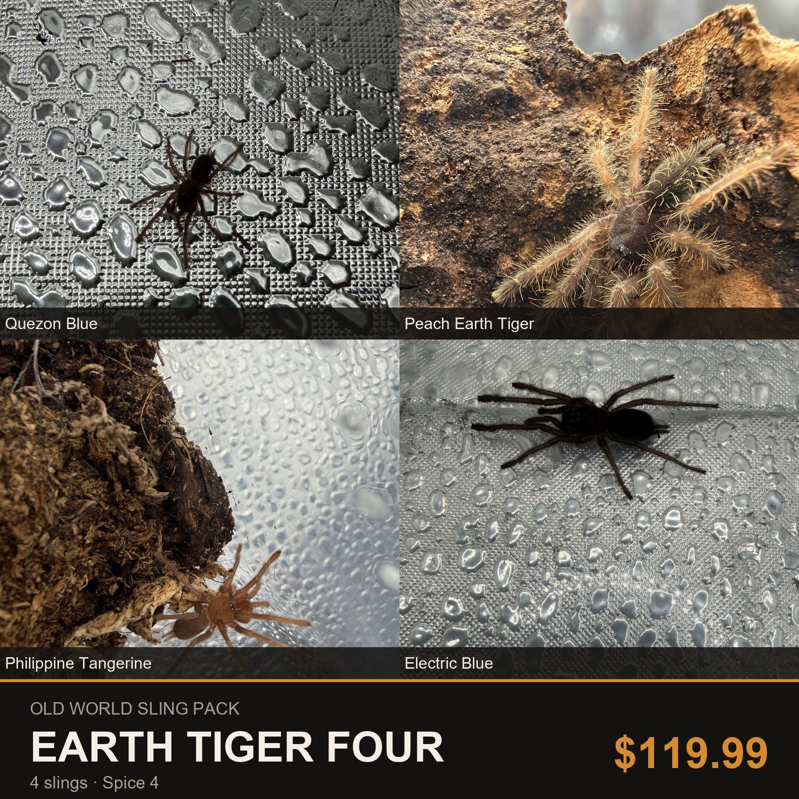 Old World Sling Pack - Earth Tiger Four - 4 Slings