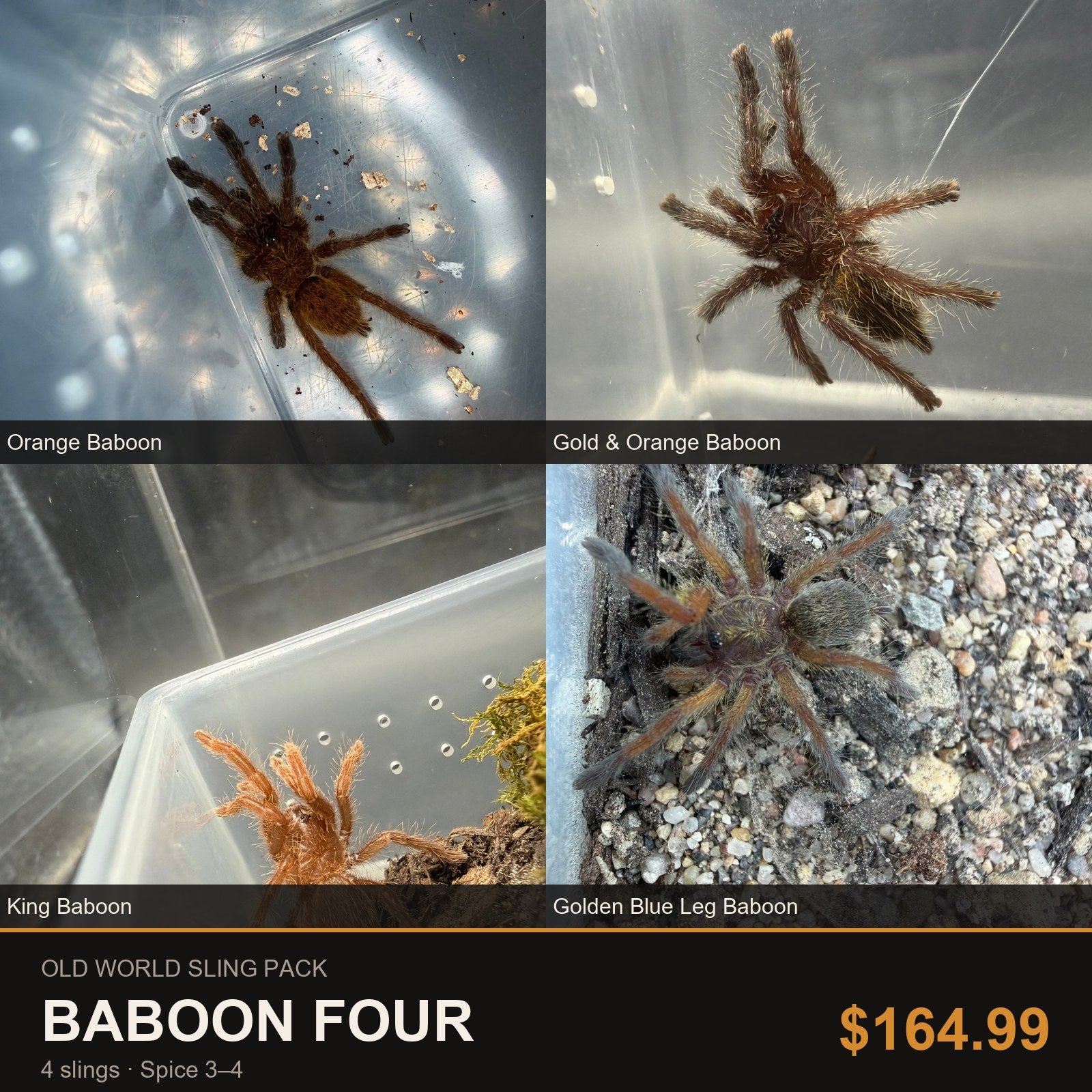 Old World Sling Pack - Baboon Four - 4 Slings