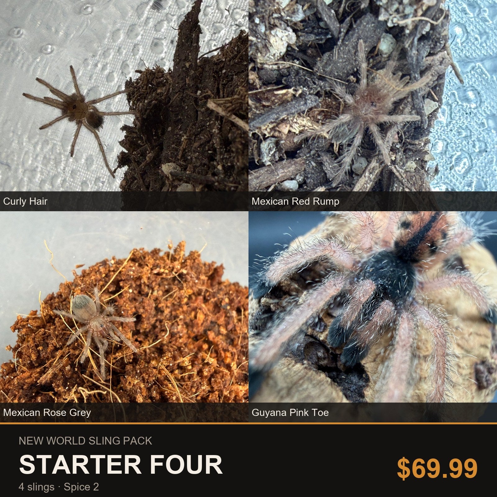 New World Sling Pack - Starter Four - 4 Slings