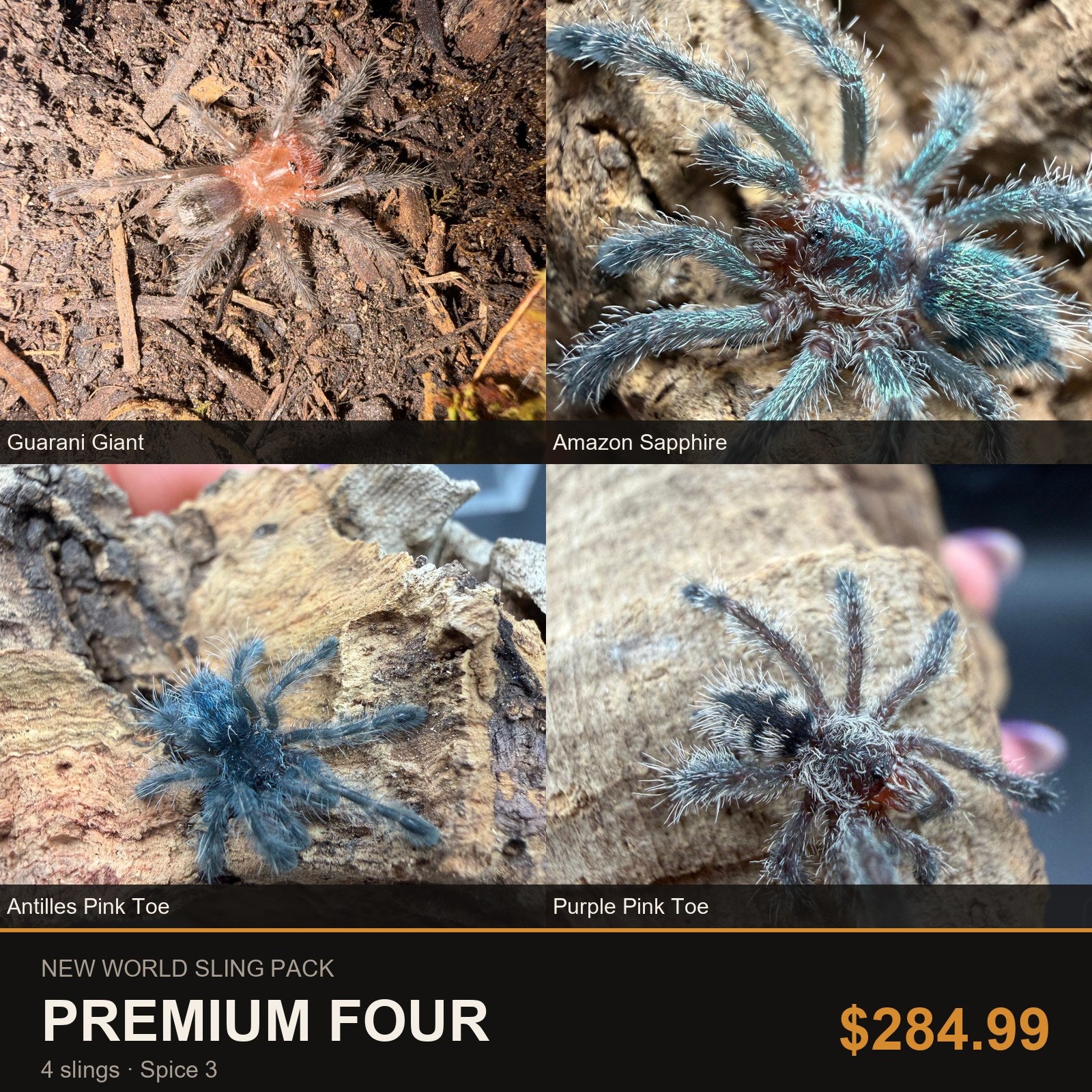 New World Sling Pack - Premium Four - 4 Slings