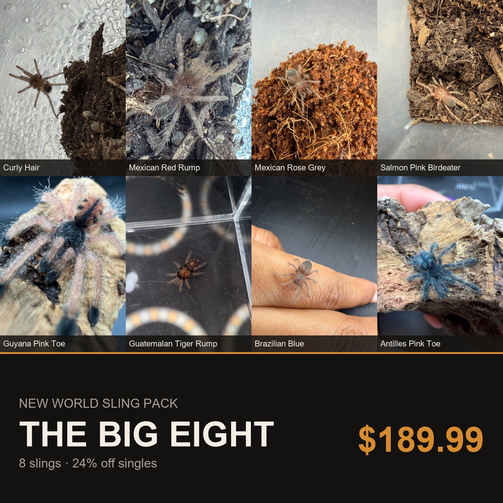 New World Sling Pack - The Big Eight - 8 Slings
