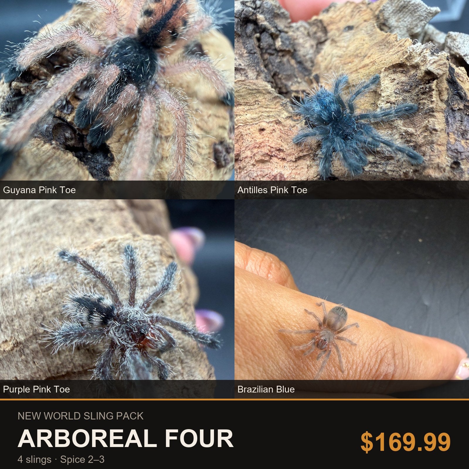 New World Sling Pack - Arboreal Four - 4 Slings