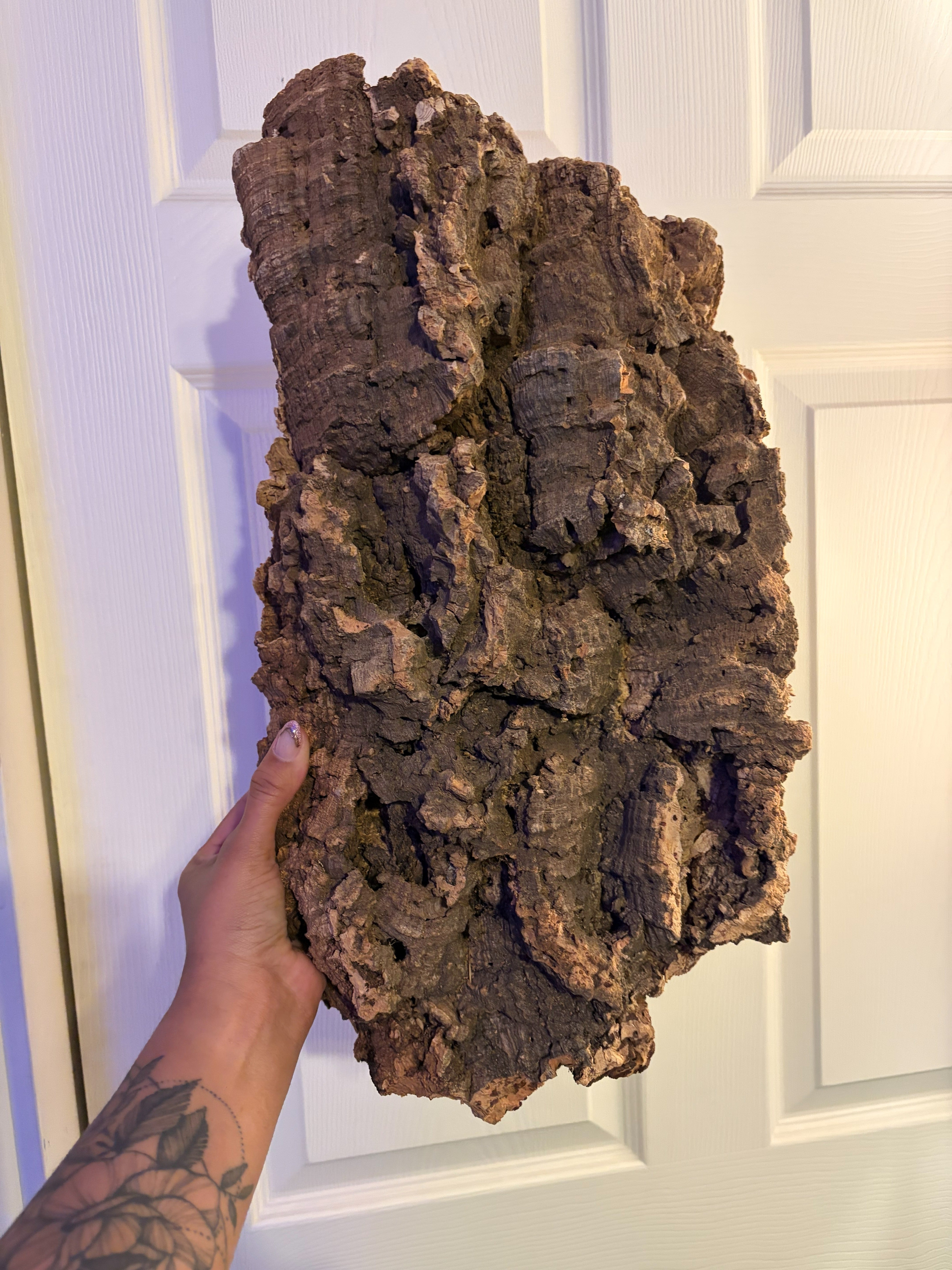 Cork Bark - Large Flat (Exclusive) - Large photo 2