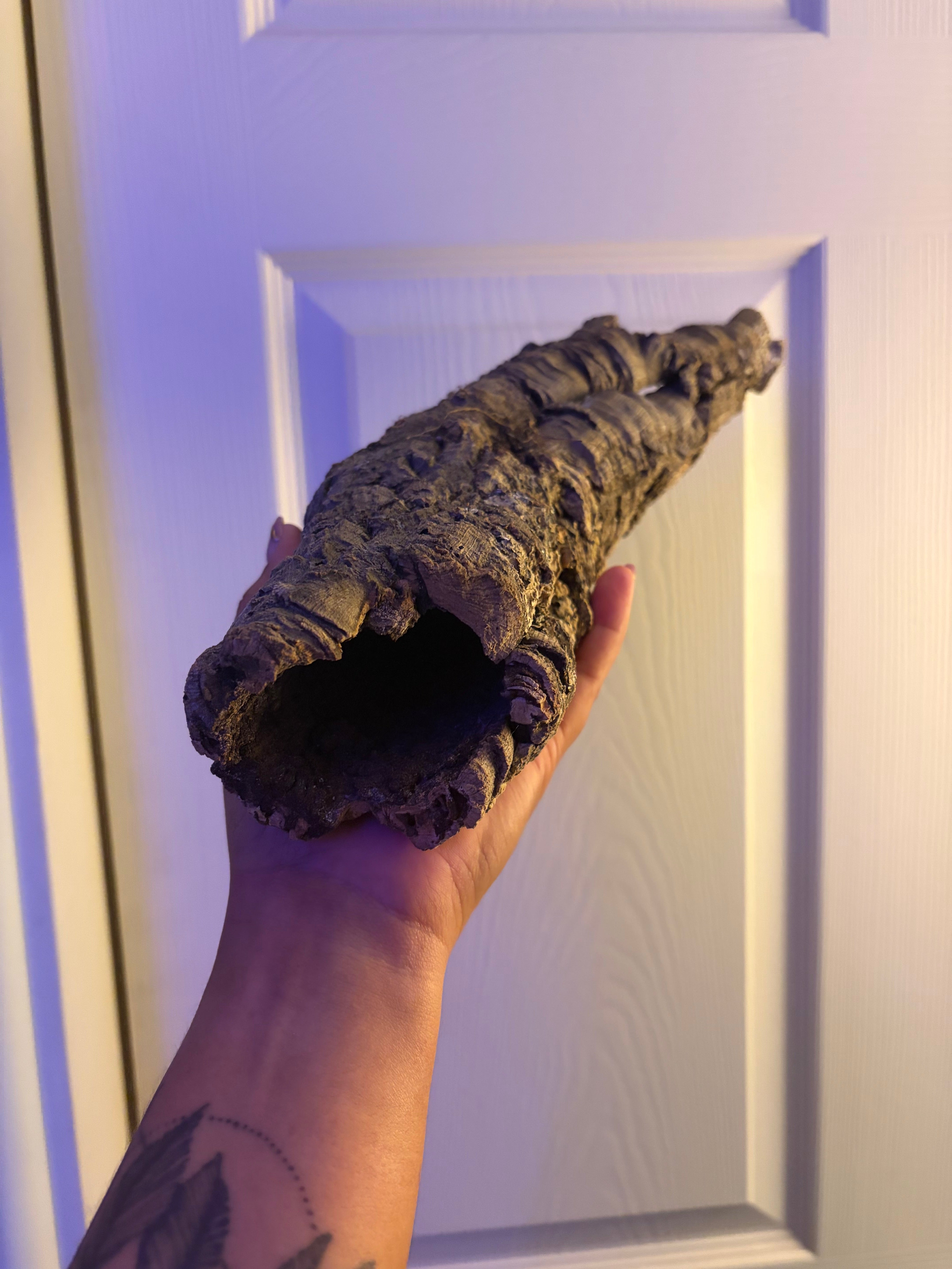 Cork Bark Tube - 2 in - 5 in diameter