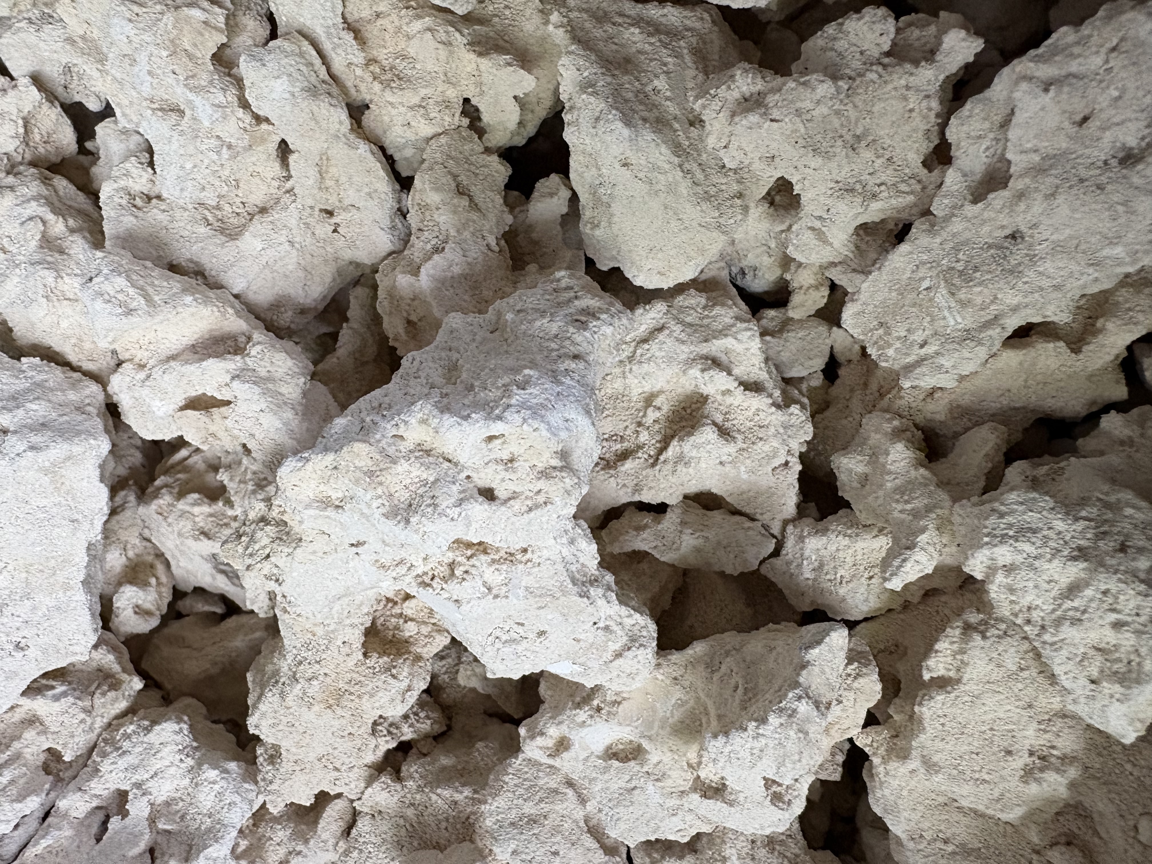 3 lbs Limestone rock