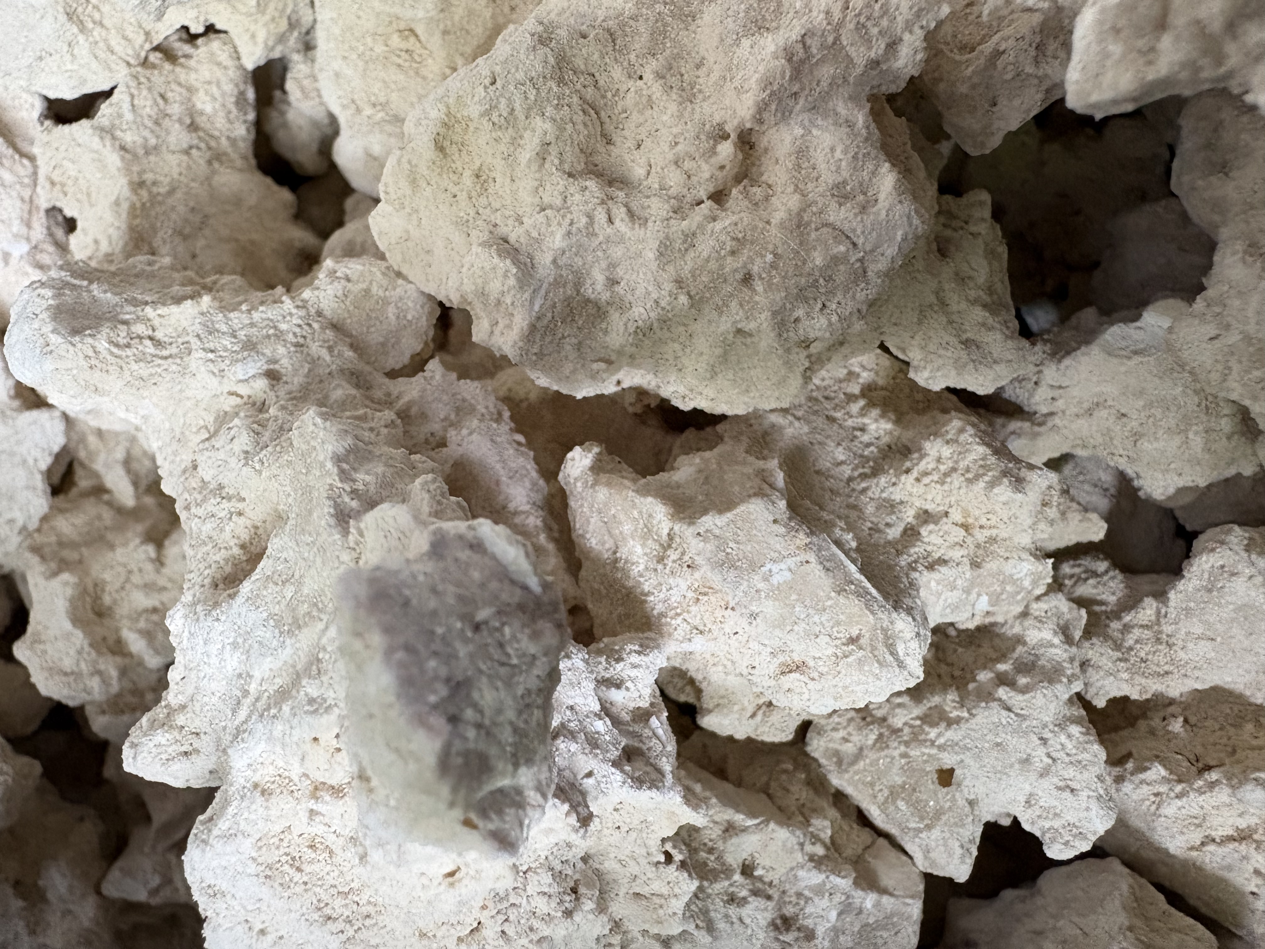 3 lbs Limestone rock photo 2