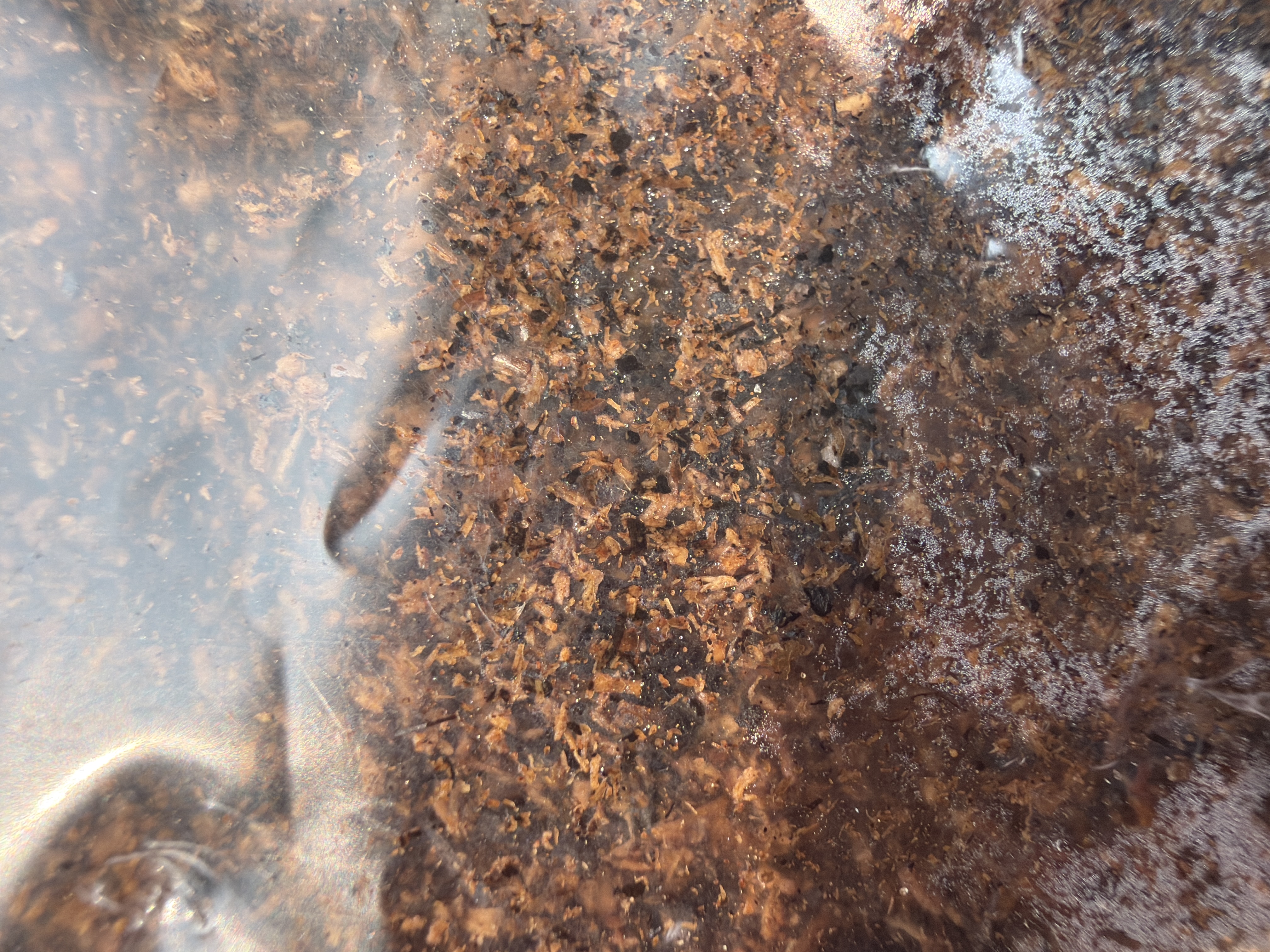 3 lb Flake Soil