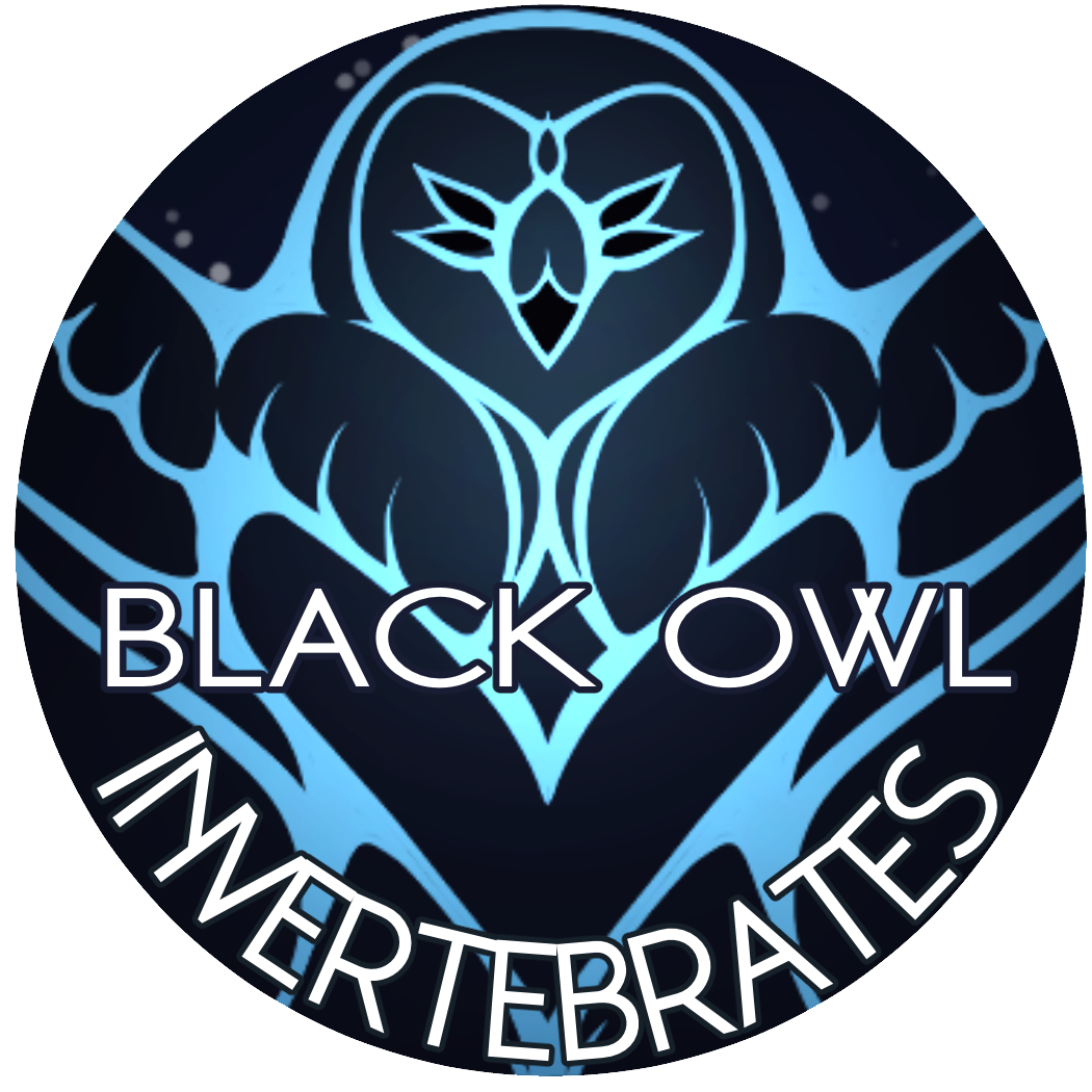 Black Owl Inverts logo