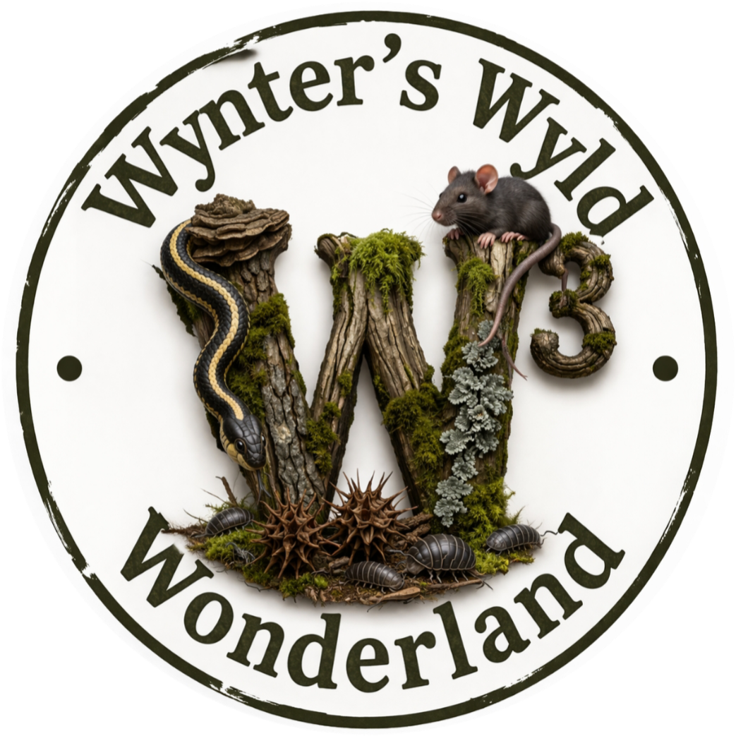 Wynterswyldwonderland logo