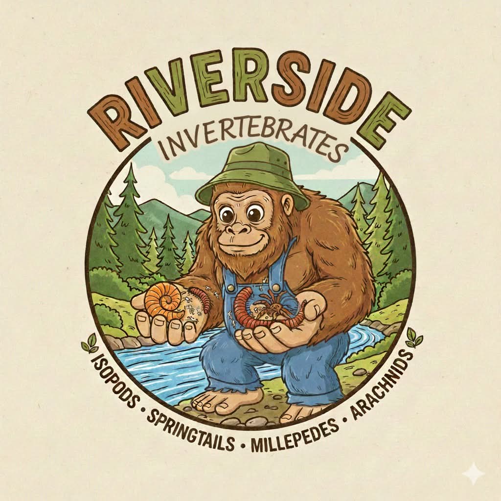 Riverside Invertebrates logo
