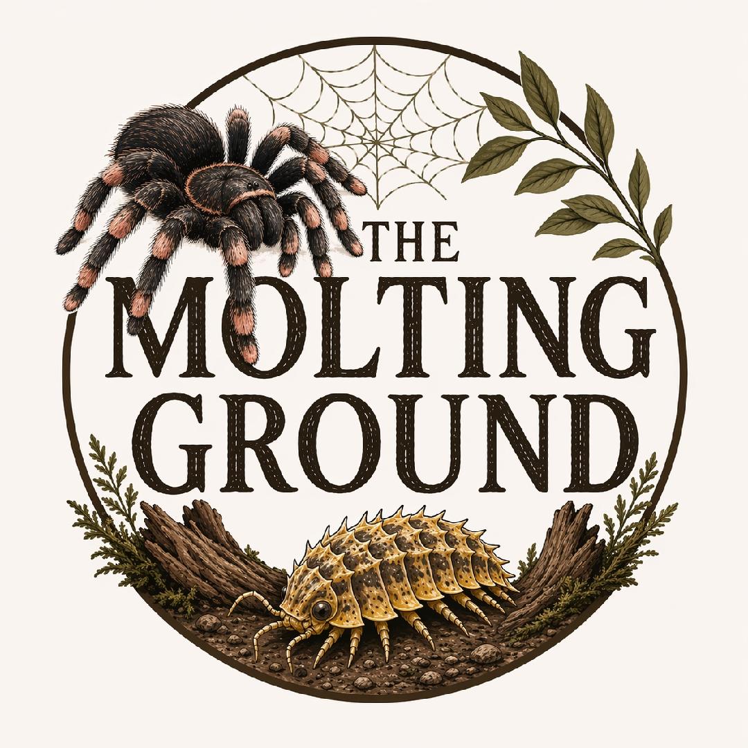 Themoltingground logo