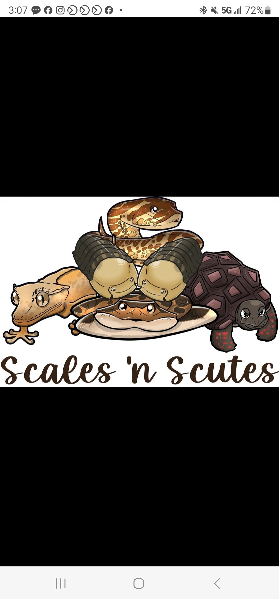 Scales'NScutes logo