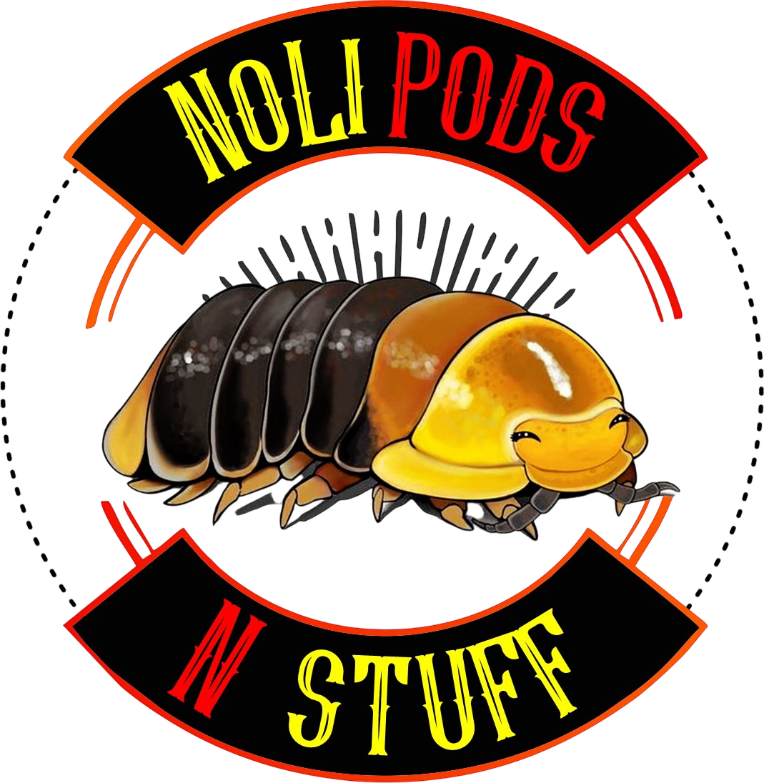 Noli Pods N’ Stuff logo