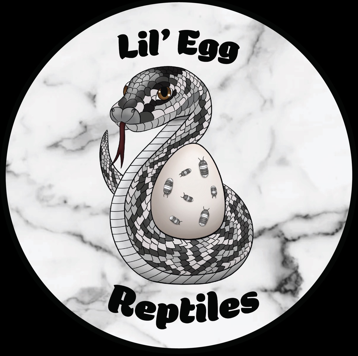 Lil Egg Reptiles logo