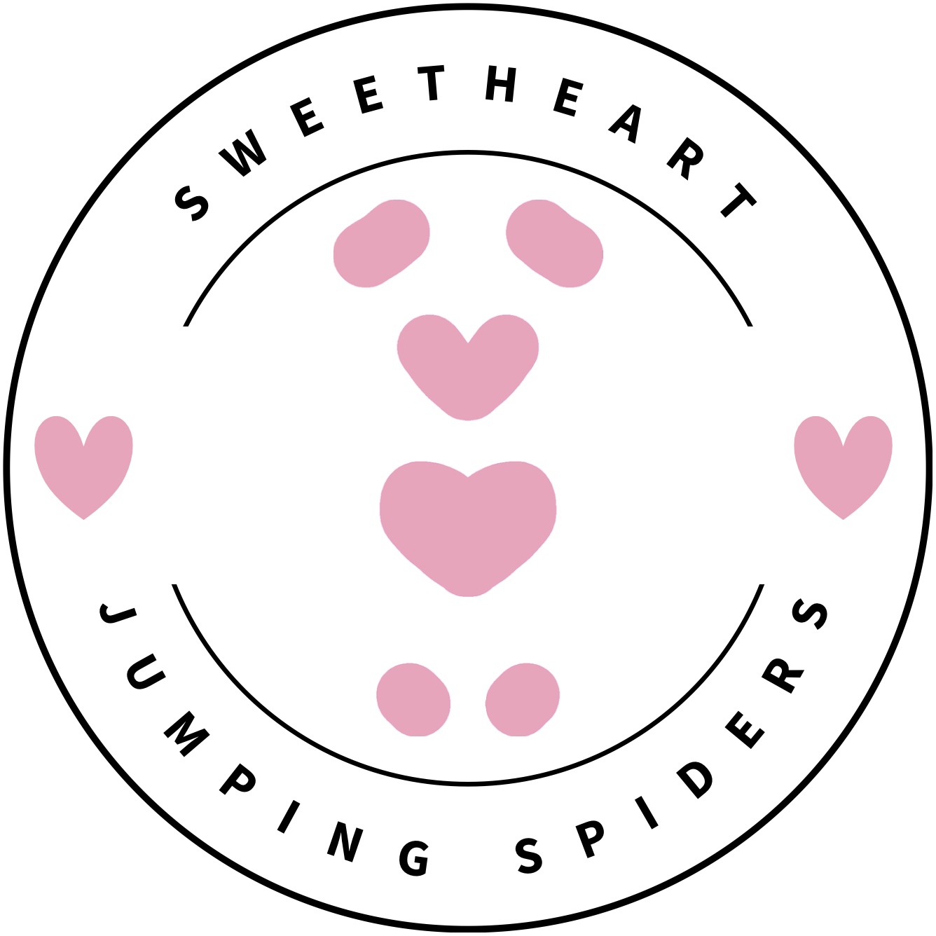 Sweetheart Jumping Spiders logo