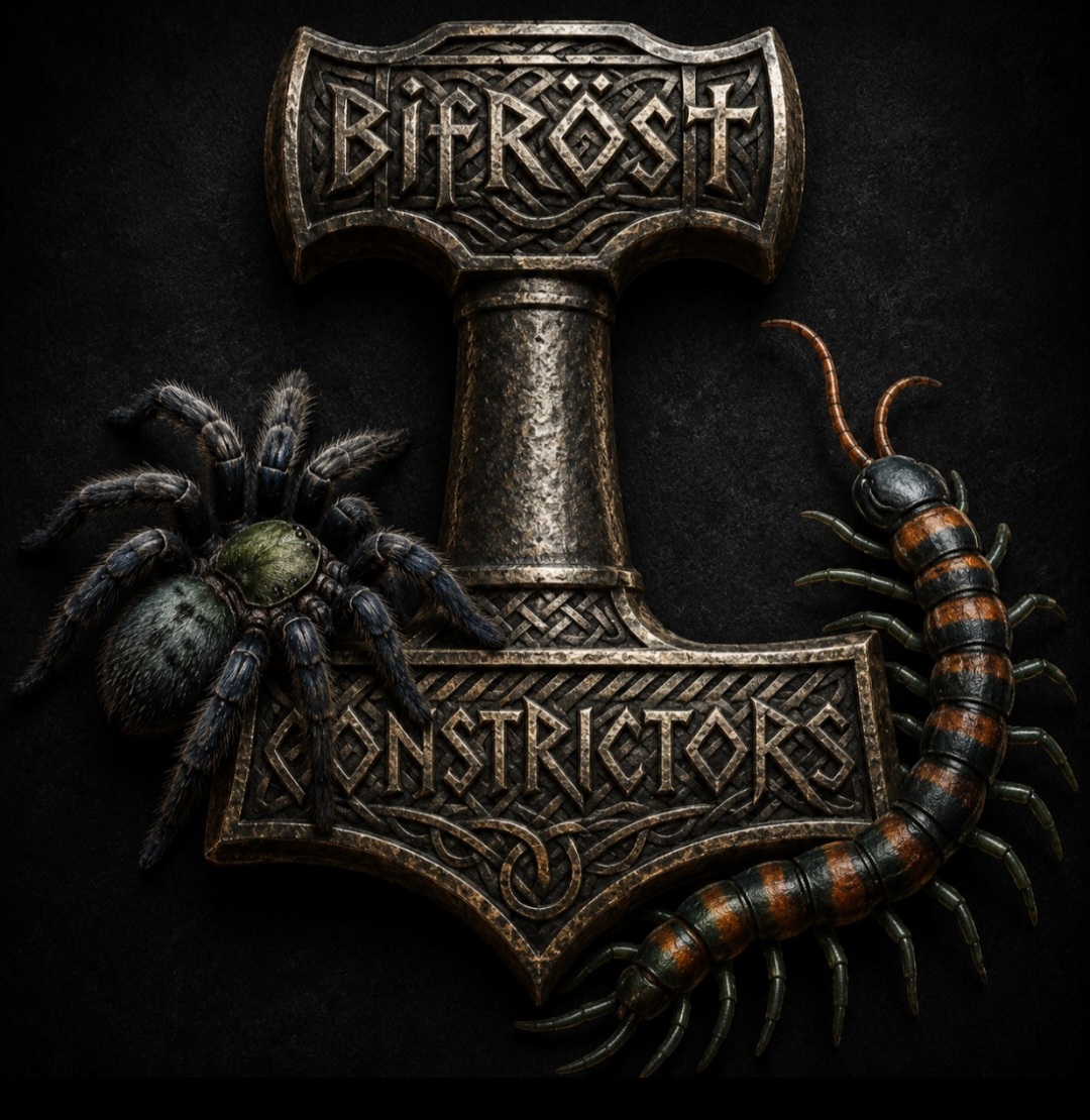 Bifrost Constrictors logo