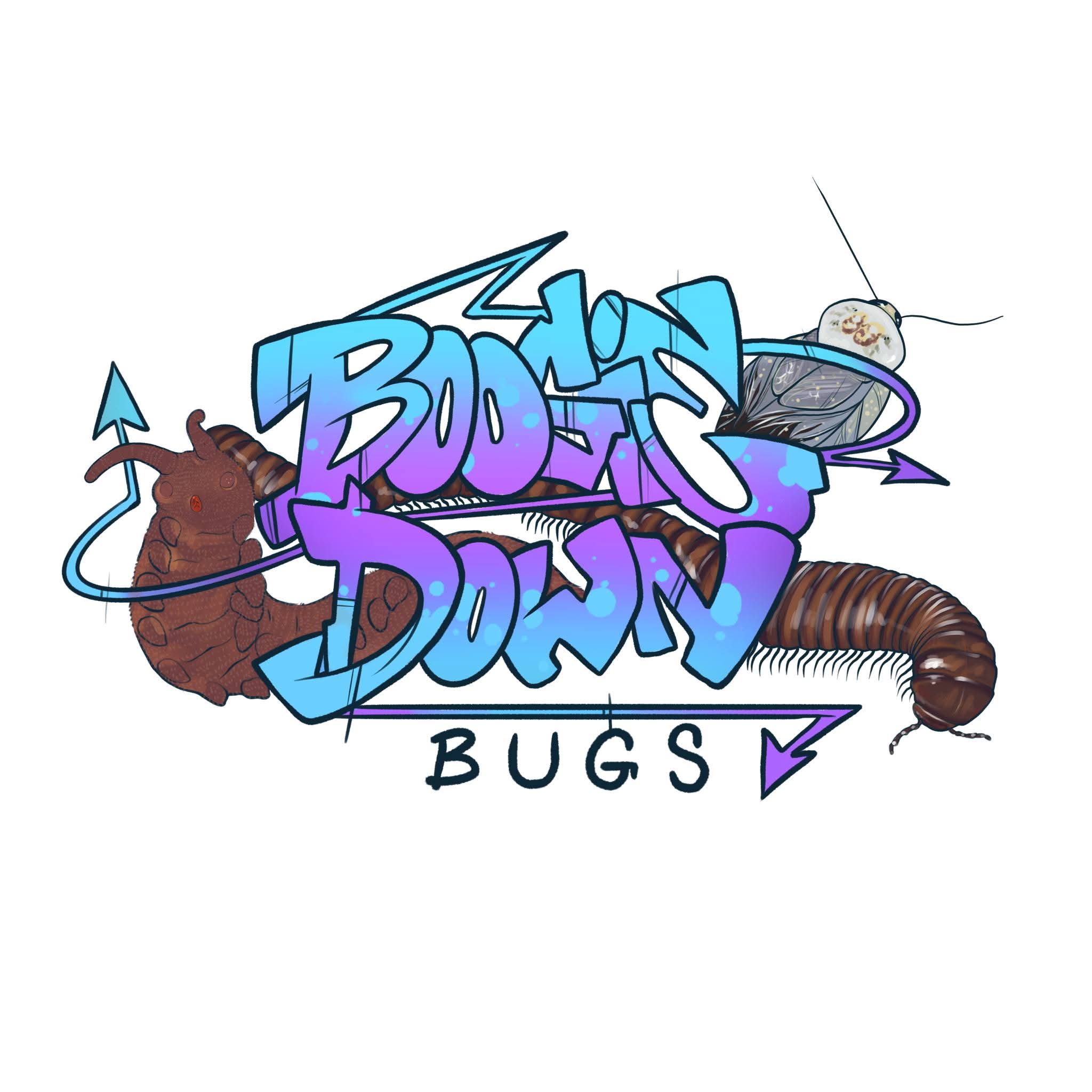 Boogie Down Bugs logo