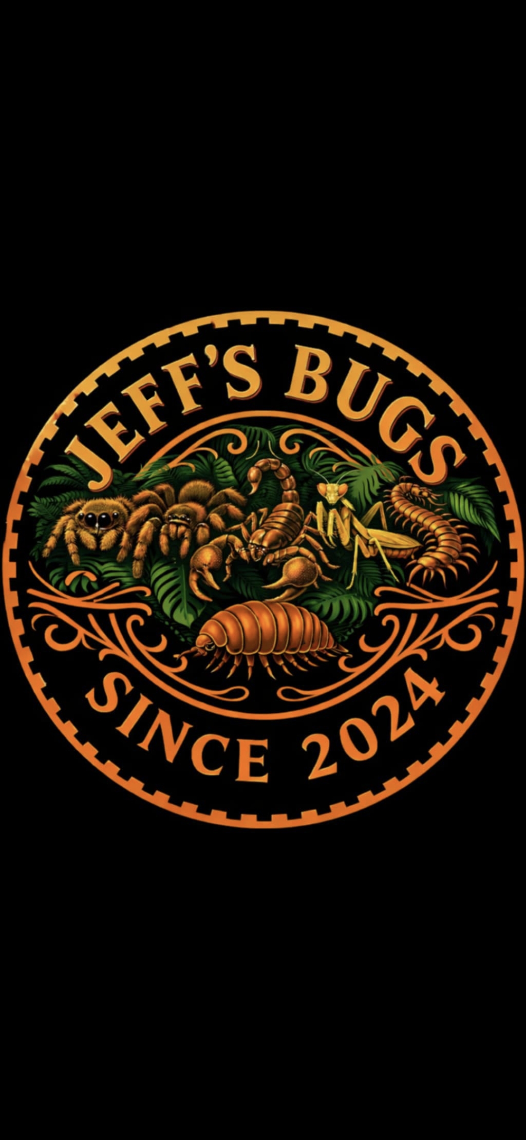 Jeff's Bugs logo
