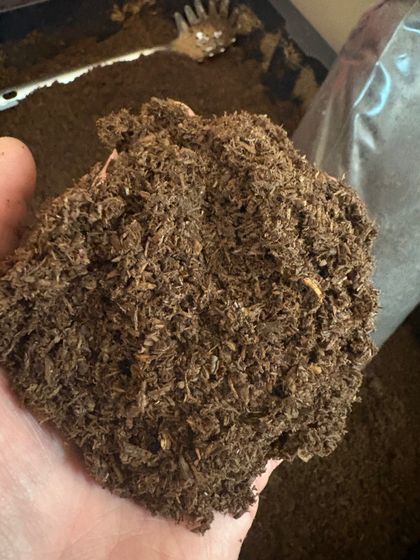 Oak Flake Soil (6 Pounds)